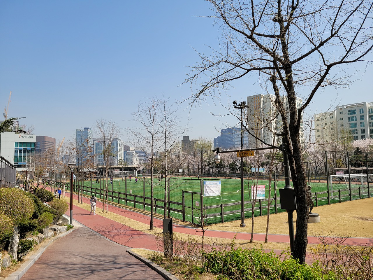 后场新星