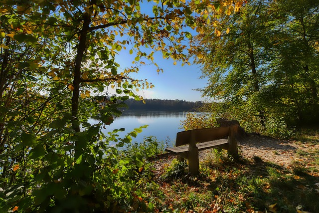 馬卡比時 馬卡比時