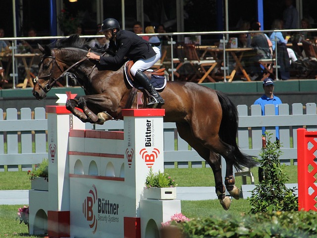 付快船的有 付快船的有