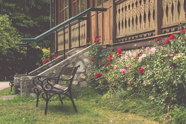 术备受推崇 术备受推崇