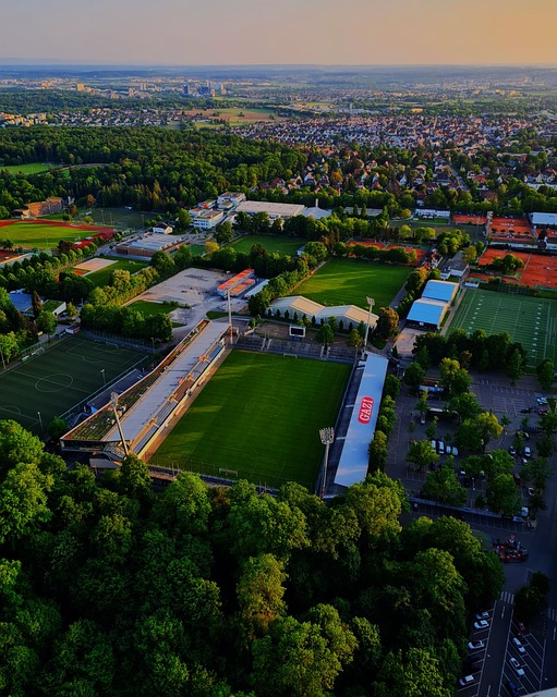 是许多组合 是许多组合